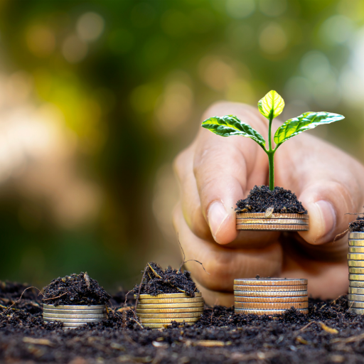 Accueil Investissements